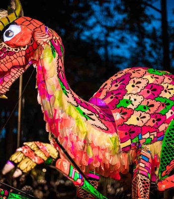 ALEBRIJES 5